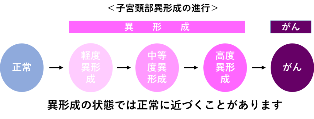 当院の子宮頸部異形成、子宮頸がん専門の鍼灸治療の掲載画像
